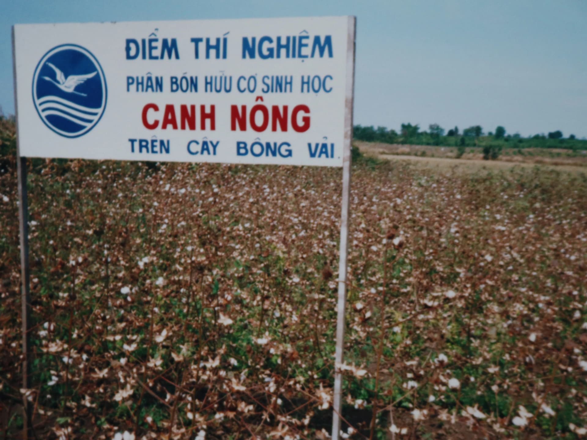 Thu hoạch nông sản sạch từ nông trại canh nông